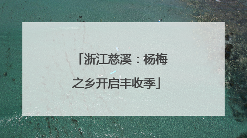 浙江慈溪：杨梅之乡开启丰收季