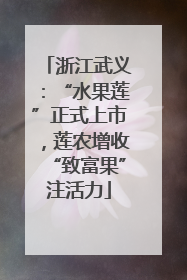 浙江武义：“水果莲”正式上市，莲农增收“致富果”注活力