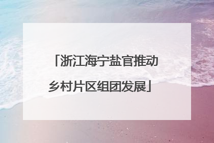 浙江海宁盐官推动乡村片区组团发展