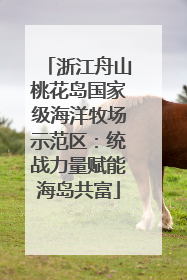 浙江舟山桃花岛国家级海洋牧场示范区：统战力量赋能海岛共富