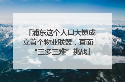 浦东这个人口大镇成立首个物业联盟，直面“三多三难”挑战