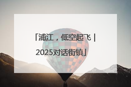 浦江，低空起飞｜2025对话街镇