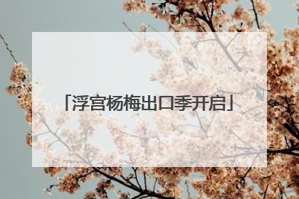 浮宫杨梅出口季开启