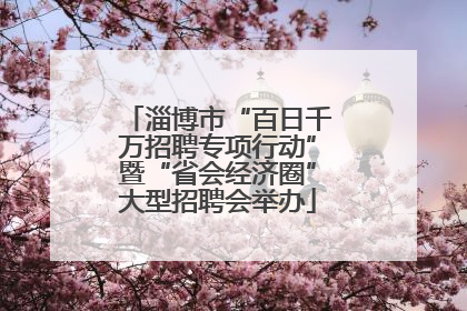 淄博市“百日千万招聘专项行动”暨“省会经济圈”大型招聘会举办