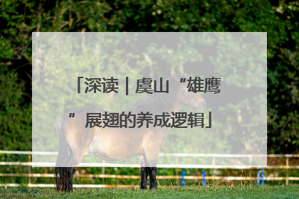 深读｜虞山“雄鹰”展翅的养成逻辑