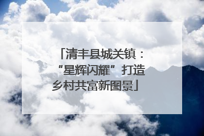 清丰县城关镇：“星辉闪耀”打造乡村共富新图景