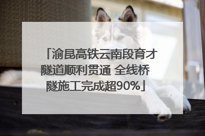 渝昆高铁云南段育才隧道顺利贯通 全线桥隧施工完成超90%