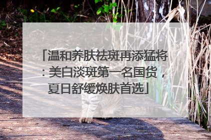 温和养肤祛斑再添猛将：美白淡斑第一名国货，夏日舒缓焕肤首选