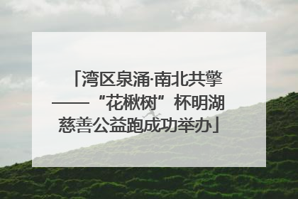 湾区泉涌·南北共擎——“花楸树”杯明湖慈善公益跑成功举办
