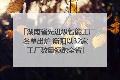 湖南省先进级智能工厂名单出炉 衡阳以32家工厂数量领跑全省