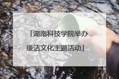湖南科技学院举办廉洁文化主题活动