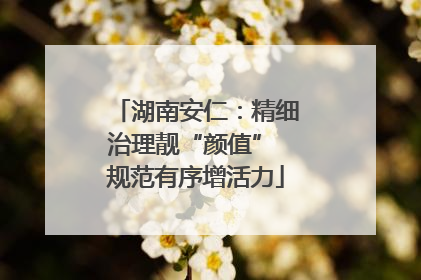 湖南安仁：精细治理靓“颜值” 规范有序增活力