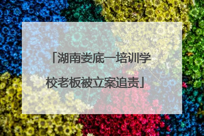 湖南娄底一培训学校老板被立案追责