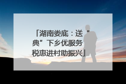 湖南娄底：送“典”下乡优服务 税惠进村助振兴