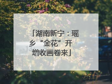 湖南新宁：瑶乡“金花”开 增收画卷来