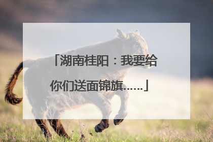 湖南桂阳：我要给你们送面锦旗……