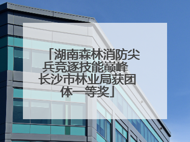 湖南森林消防尖兵竞逐技能巅峰 长沙市林业局获团体一等奖