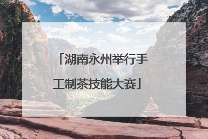 湖南永州举行手工制茶技能大赛