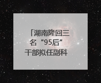 湖南隆回三名“95后”干部拟任副科级领导，均系硕士选调生