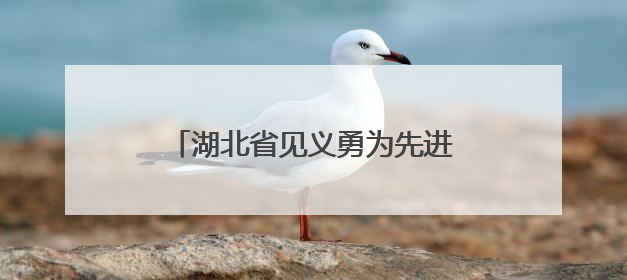 湖北省见义勇为先进陈伟：逆火而行伸援手，平凡之躯亦英雄