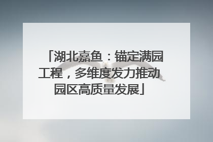 湖北嘉鱼：锚定满园工程，多维度发力推动园区高质量发展