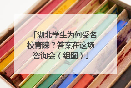 湖北学生为何受名校青睐？答案在这场咨询会（组图）