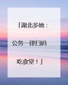 湖北多地：公务一律扫码吃食堂！
