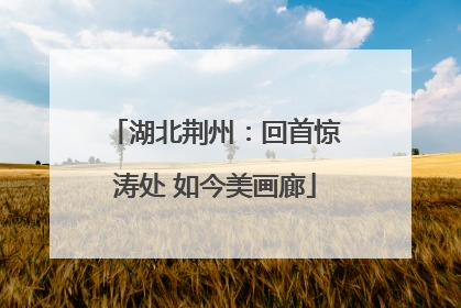 湖北荆州：回首惊涛处 如今美画廊