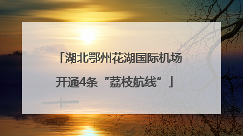 湖北鄂州花湖国际机场开通4条“荔枝航线”