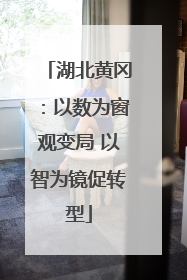 湖北黄冈：以数为窗观变局 以智为镜促转型