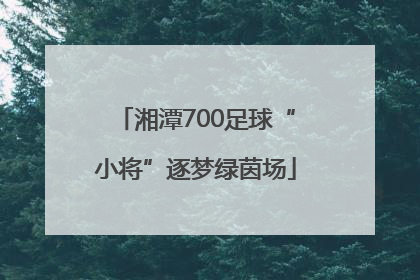 湘潭700足球“小将”逐梦绿茵场