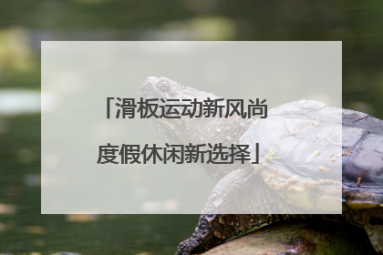 滑板运动新风尚 度假休闲新选择