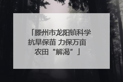 滕州市龙阳镇科学抗旱保苗 力保万亩农田“解渴”