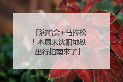 演唱会+马拉松！本周末沈阳地铁出行指南来了