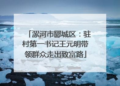 漯河市郾城区：驻村第一书记王元明带领群众走出致富路