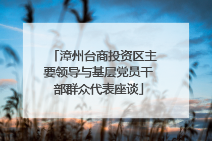 漳州台商投资区主要领导与基层党员干部群众代表座谈