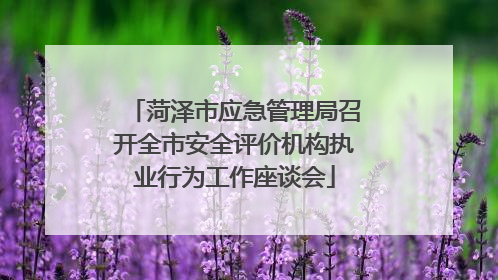 菏泽市应急管理局召开全市安全评价机构执业行为工作座谈会