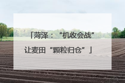 菏泽：“机收会战”让麦田“颗粒归仓”
