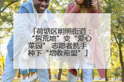 荷塘区明照街道：“撂荒地”变“爱心菜园” 志愿者携手种下“增收希望”