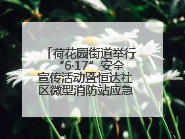 荷花园街道举行“6·17”安全宣传活动暨恒达社区微型消防站应急小分队启动式