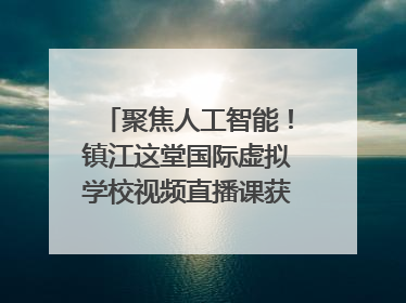 聚焦人工智能！镇江这堂国际虚拟学校视频直播课获韩美伙伴点赞