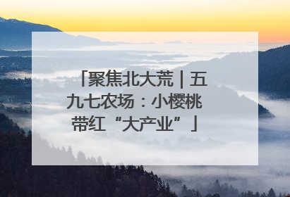 聚焦北大荒｜五九七农场：小樱桃带红“大产业”