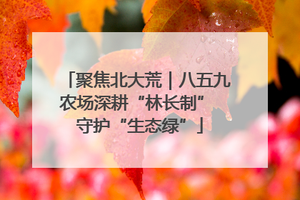 聚焦北大荒｜八五九农场深耕“林长制” 守护“生态绿”
