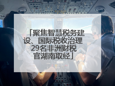 聚焦智慧税务建设、国际税收治理 29名非洲财税官湖南取经