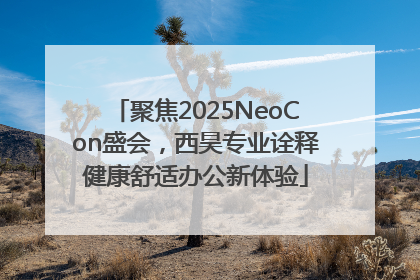 聚焦2025NeoCon盛会，西昊专业诠释健康舒适办公新体验
