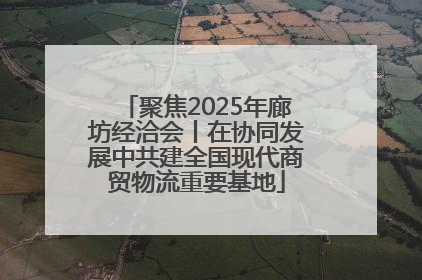 聚焦2025年廊坊经洽会丨在协同发展中共建全国现代商贸物流重要基地