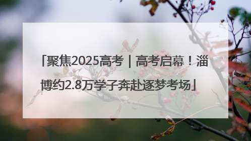 聚焦2025高考｜高考启幕！淄博约2.8万学子奔赴逐梦考场