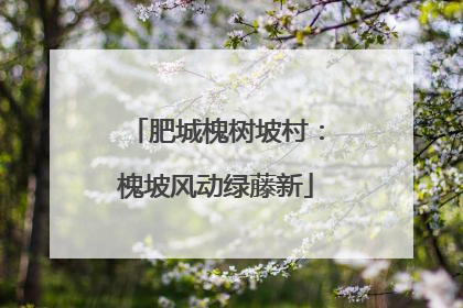 肥城槐树坡村：槐坡风动绿藤新