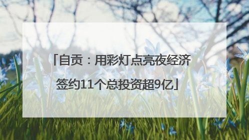 自贡：用彩灯点亮夜经济 签约11个总投资超9亿