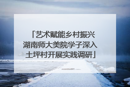 艺术赋能乡村振兴 湖南师大美院学子深入土坪村开展实践调研